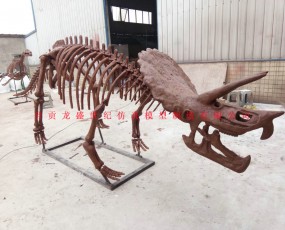 恐龍化石骨架制造  化石骨架展覽